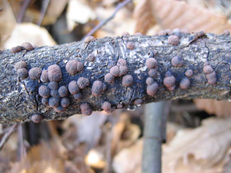 Escursione del  sabato pomeriggio